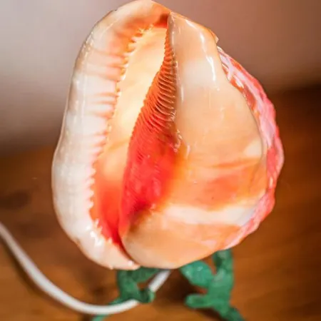 דירה Uniek Zeezicht *